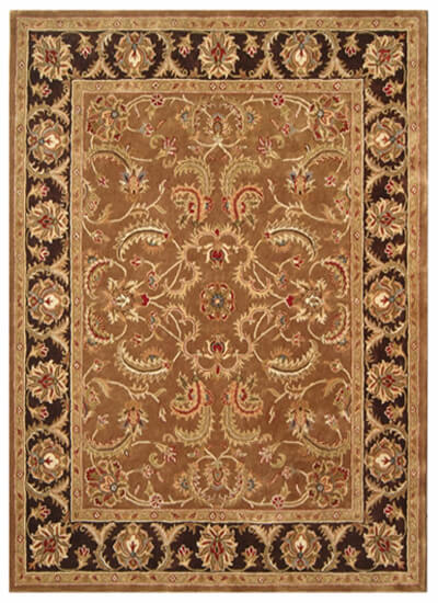 HLT-2006 Brown-D.Brown